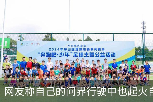 网友称自己的问界行驶中也起火自燃，起火原因还匪夷所思